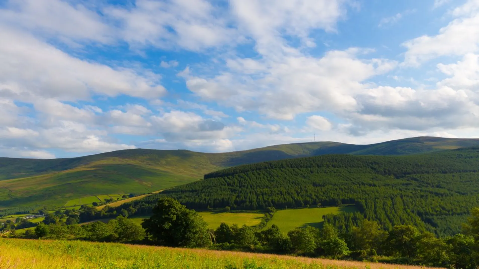 An image depicting the trail Windfarm Loop and its surrounding area.