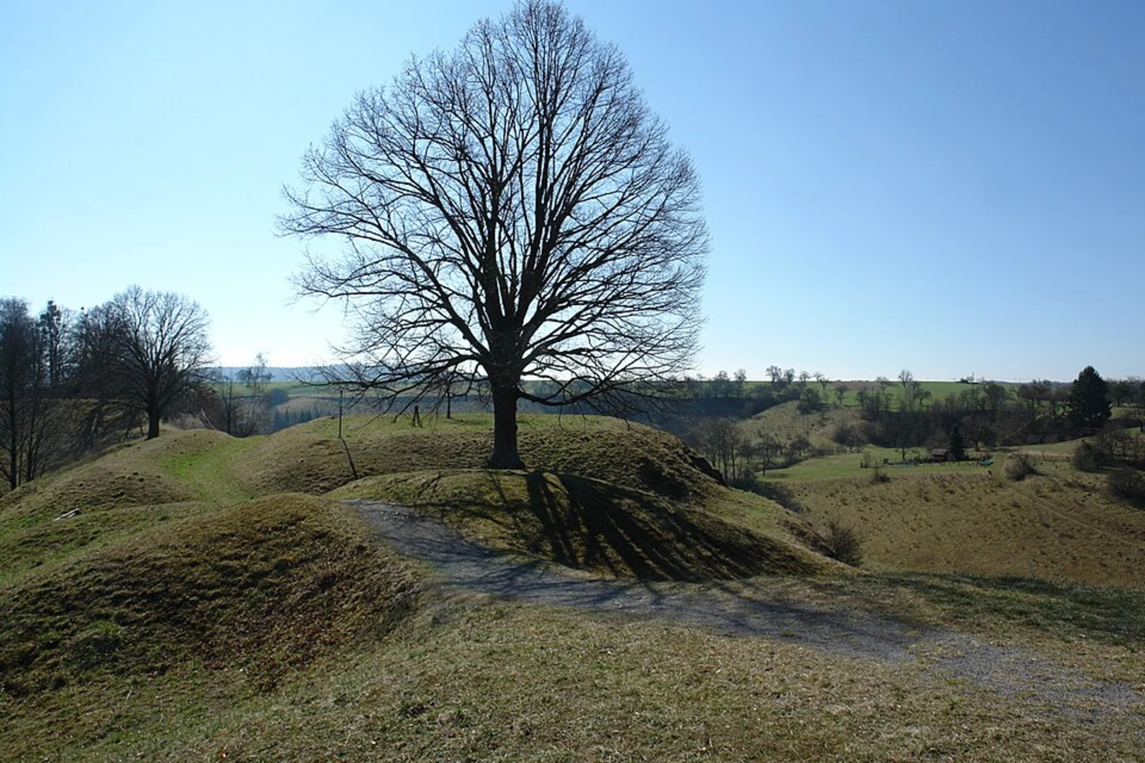 An image depicting the trail Burgweg Loop and its surrounding area.