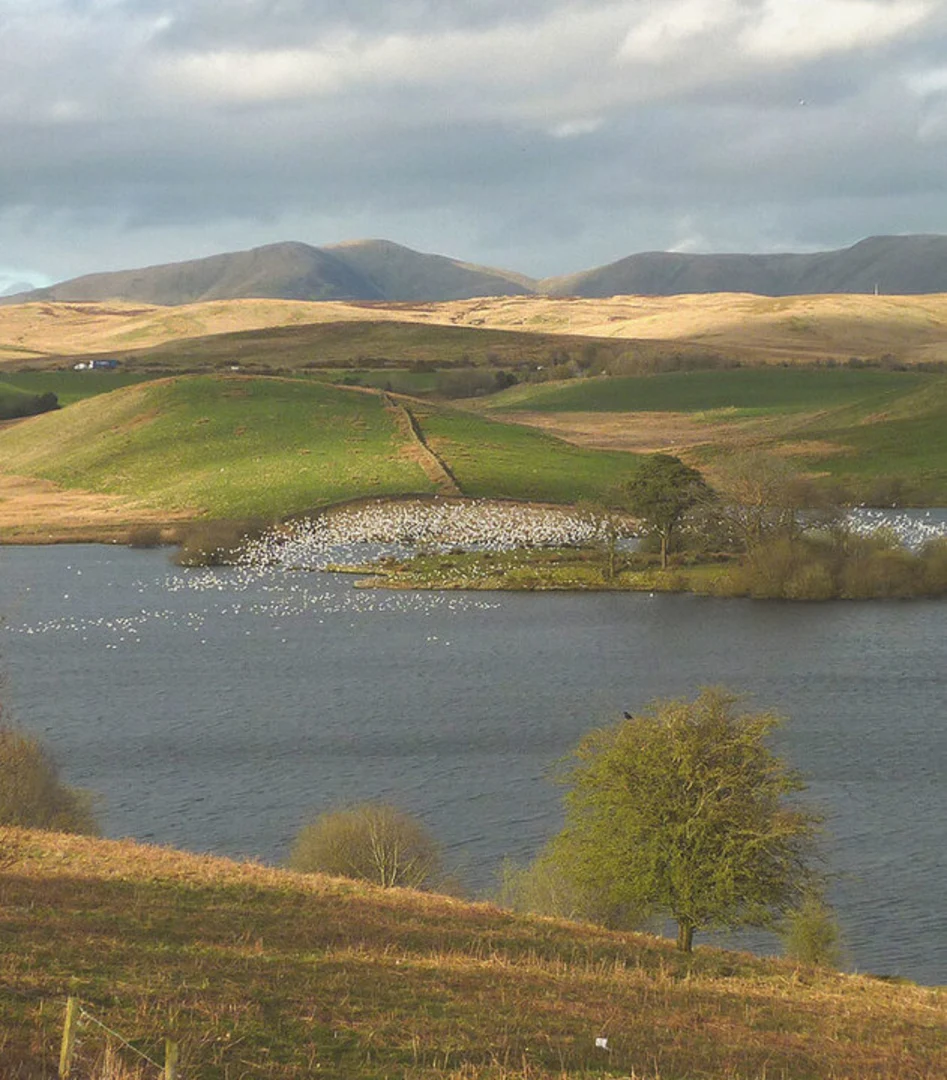 An image depicting the trail Killington Reservoir Loop and its surrounding area.