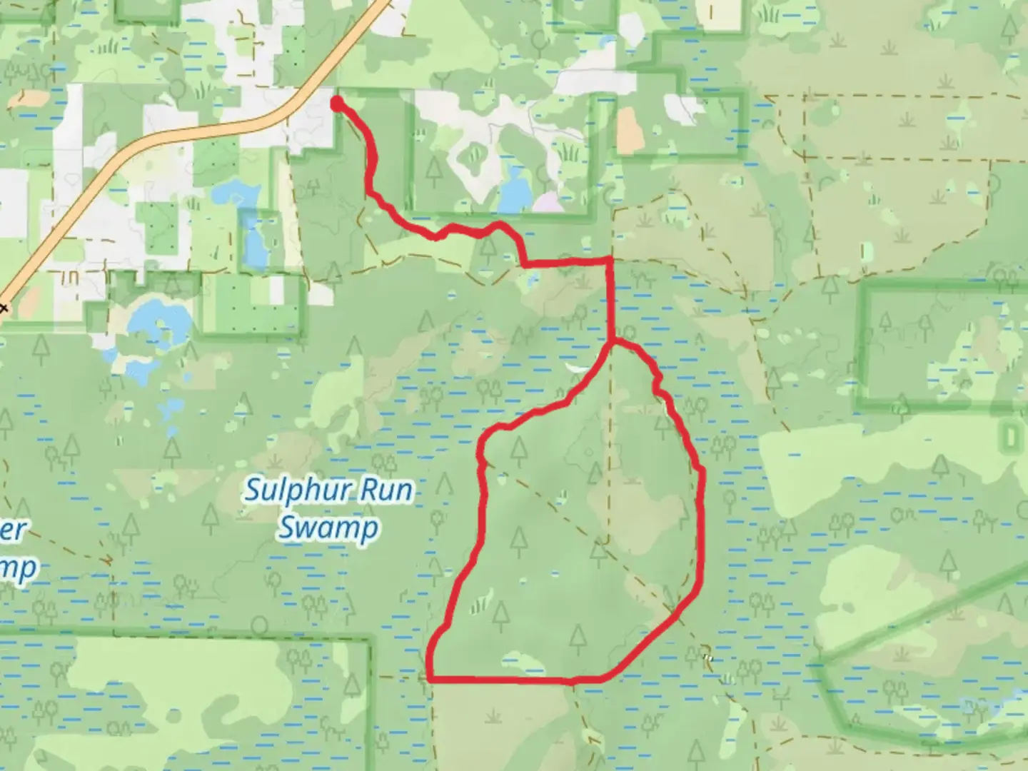 An image depicting the trail Lske Jordan and Sulphur Run via Florida Trail and its surrounding area.