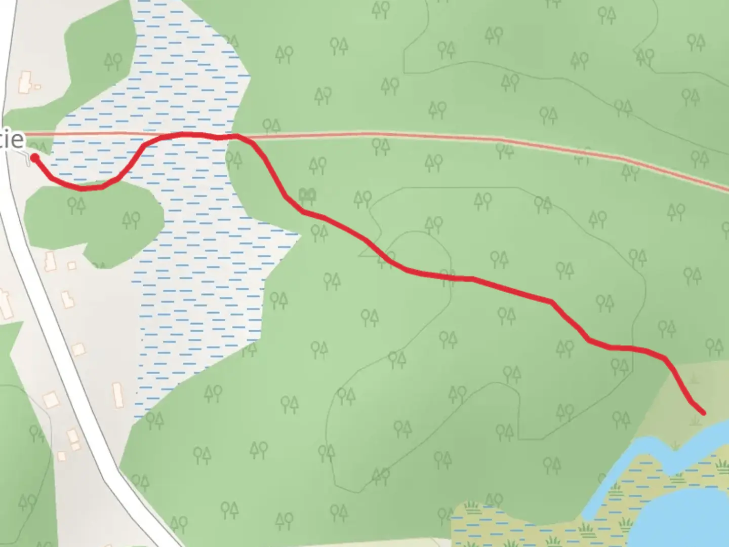 An image depicting the trail Gracie Road Walk and its surrounding area.