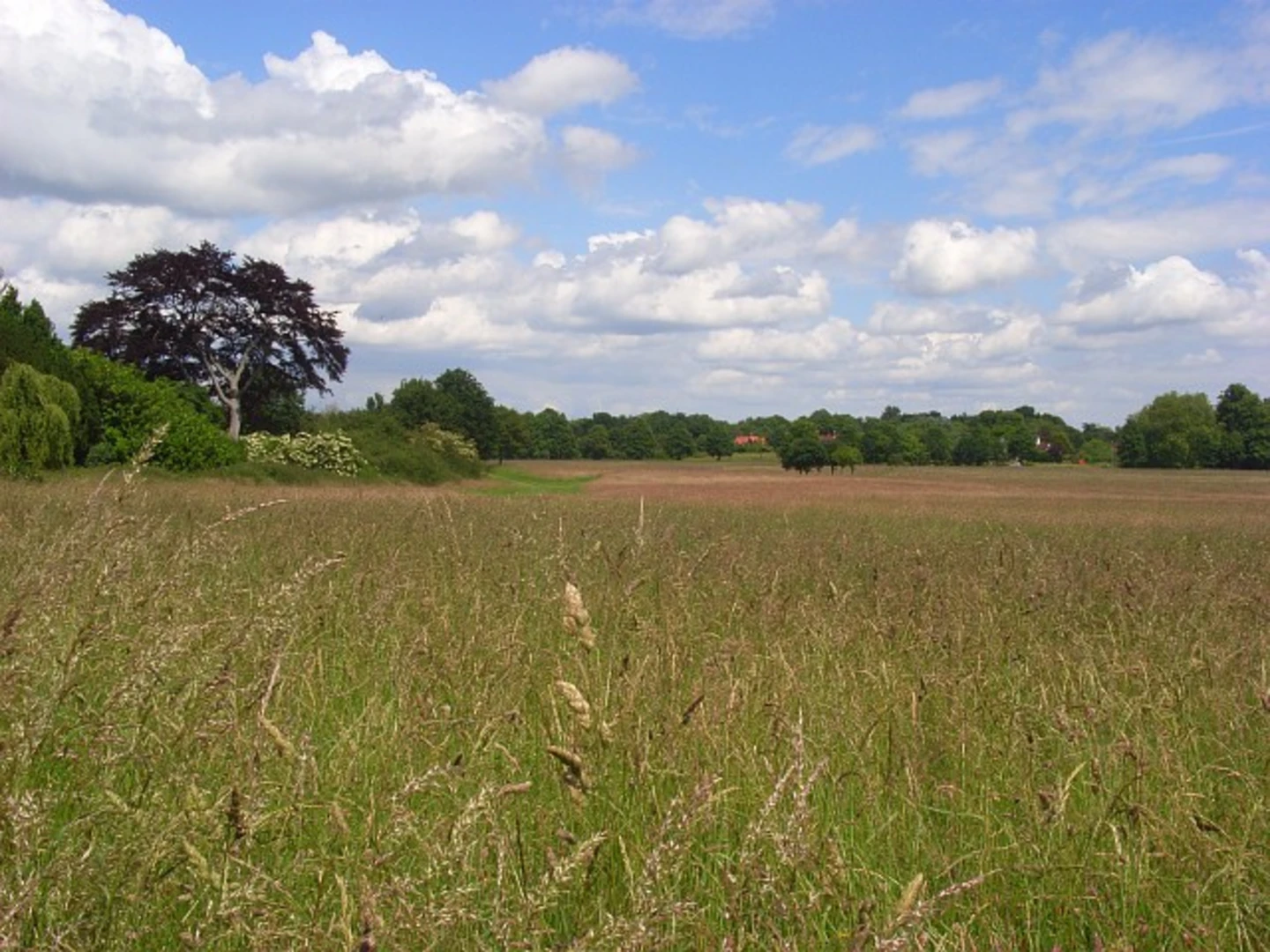 An image depicting the trail Winter Hill and Pinkneys Green via Michael's Path and The Chiltern Way Berkshire Loop and its surrounding area.