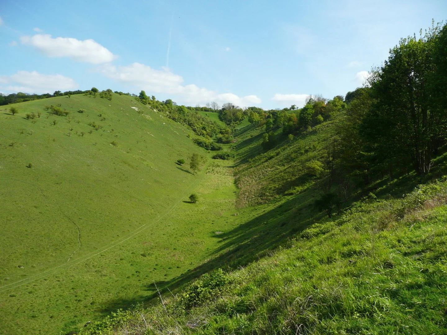 An image depicting the trail Pegsdon Hills and Barton Hills Loop and its surrounding area.