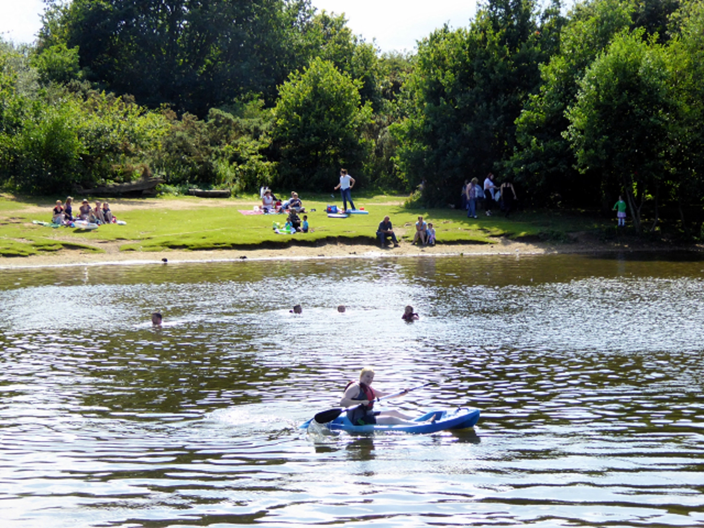 An image depicting the trail Shrublands Farm Loop and its surrounding area.