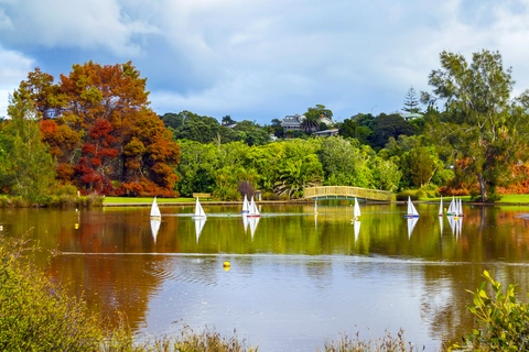 Onepoto Domain Track