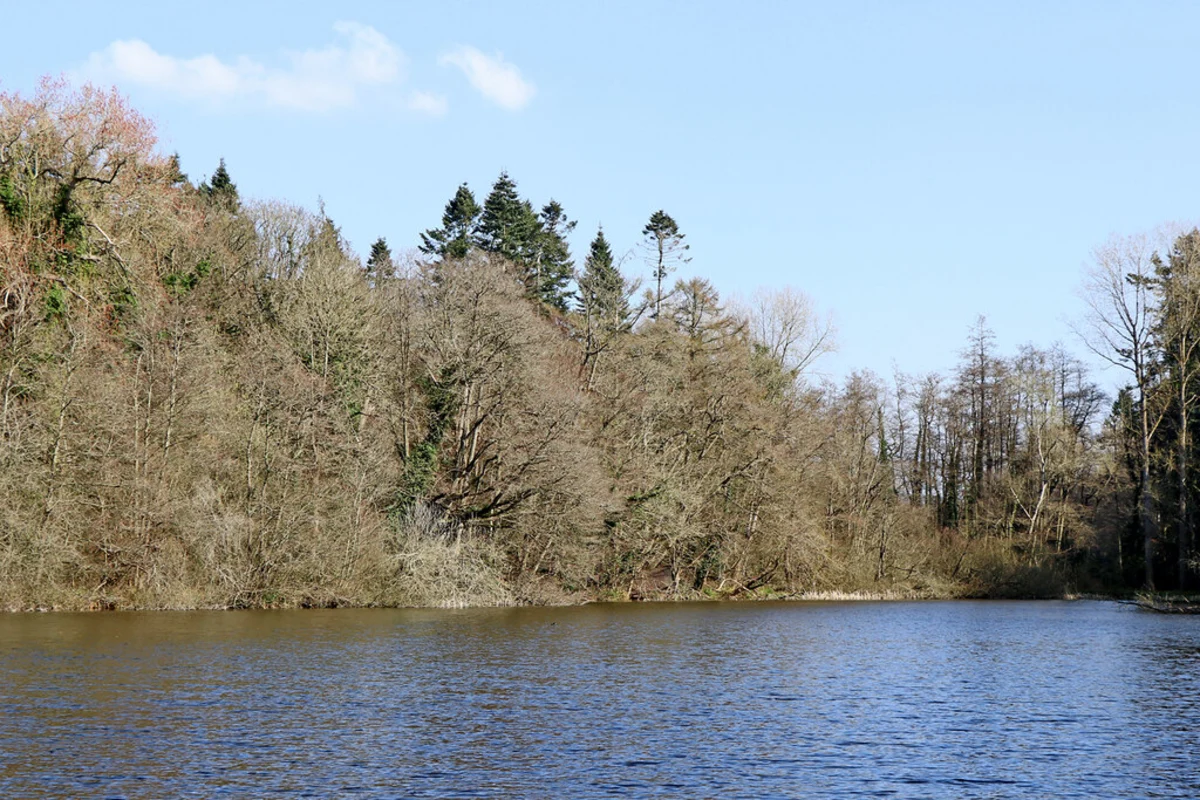 Dudmaston Big Pool, Brim Pool and Long Covert Loop