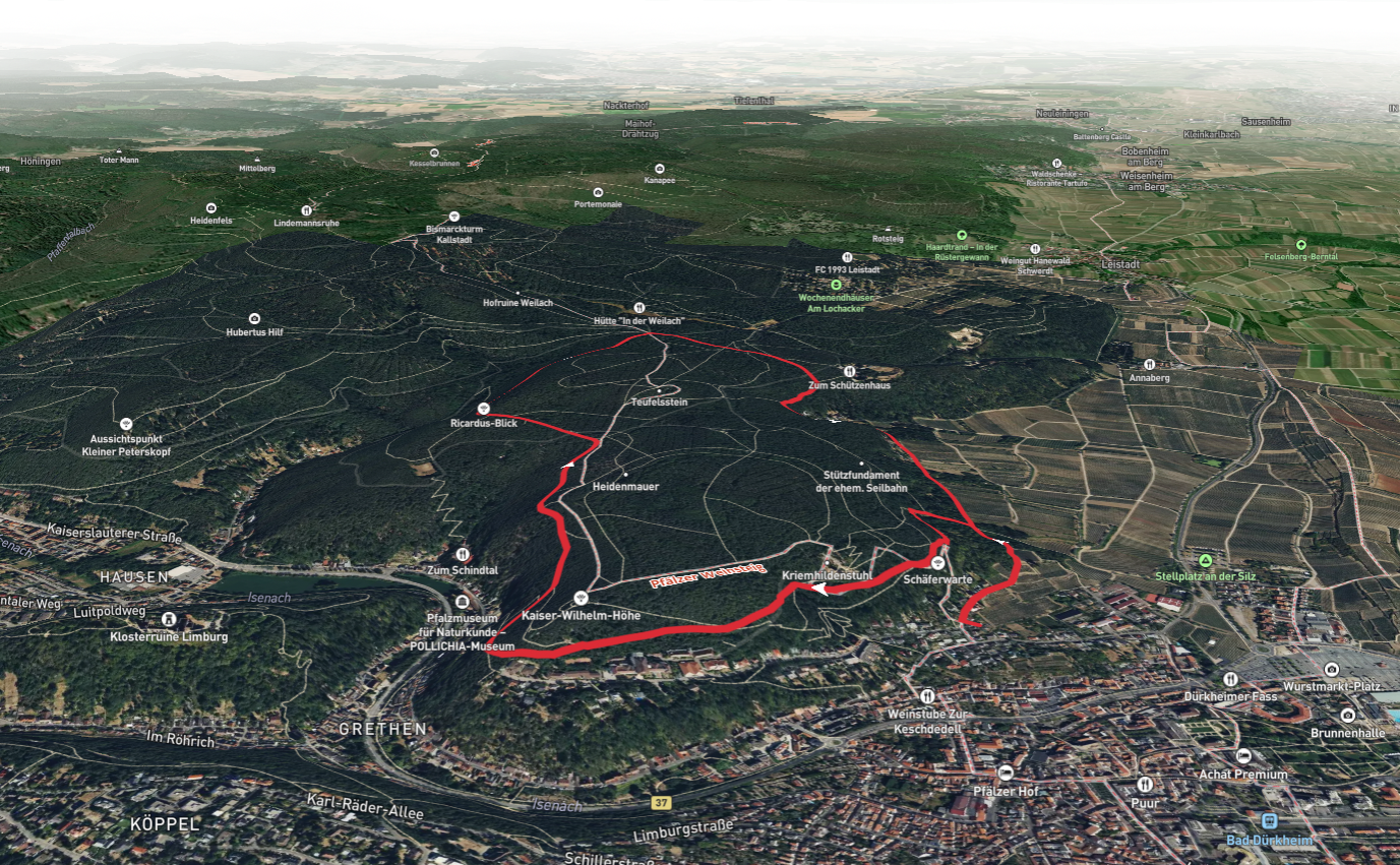 Herzogweiherblick and Ricardus Blick via Pfalzerwald Roter Punkt