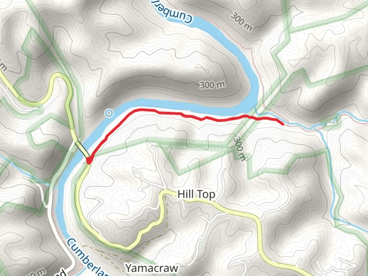 An image depicting the trail Sheltowee Trace Trail Out and Back and its surrounding area.