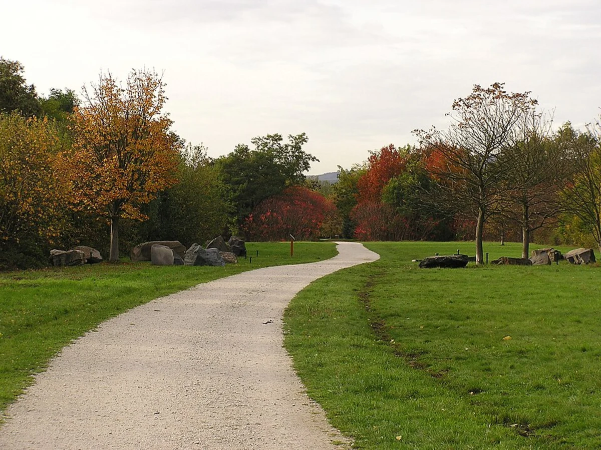 Station Kornmarkt Loop via Neckarsteig