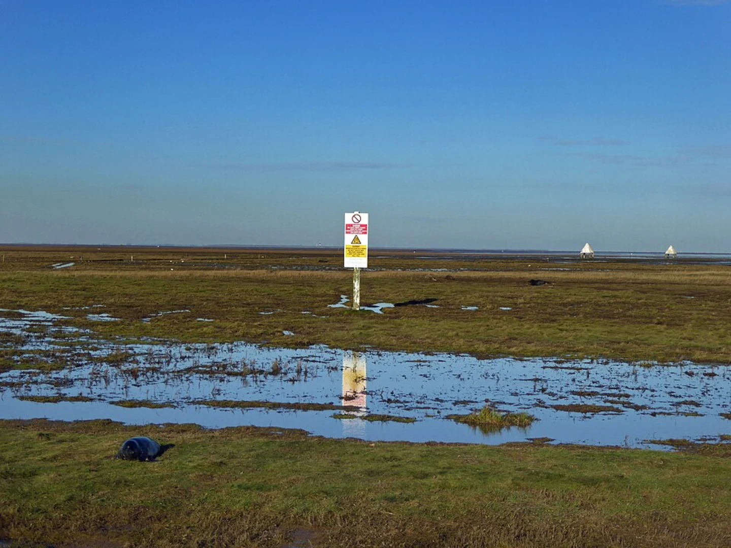 An image depicting the trail Donna Nook Walk and its surrounding area.