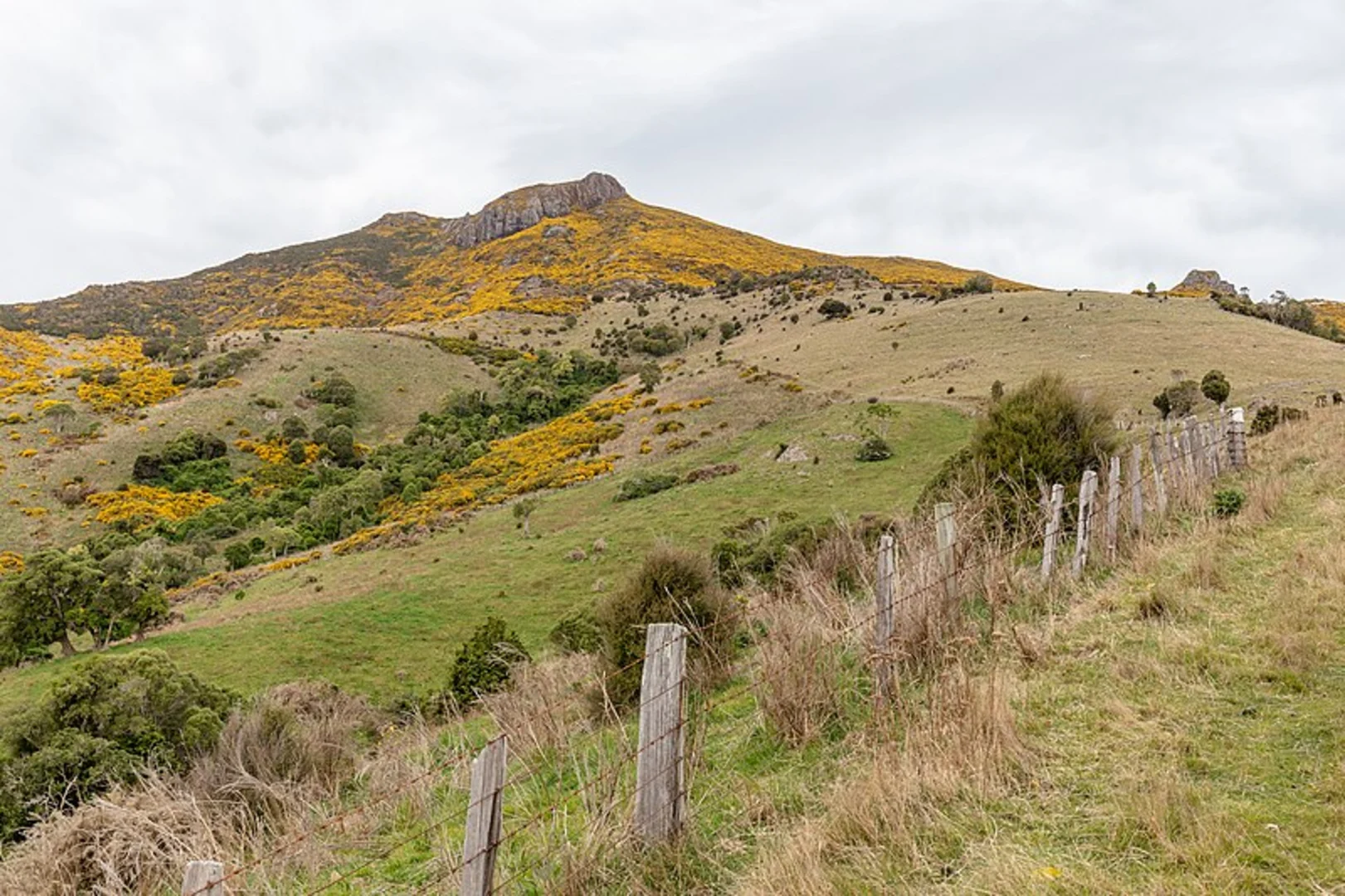 An image depicting the trail Stoney Bay Peak and its surrounding area.