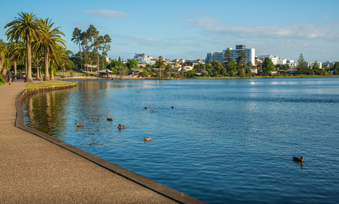 Hamilton Lake Domain Walkway