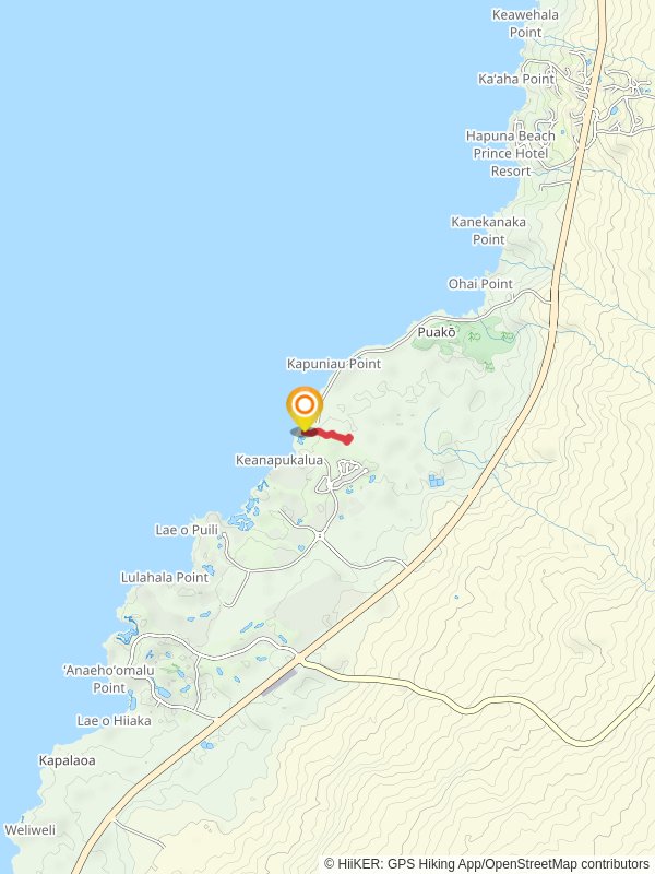 Puako Petroglyph Archaeological Preserve