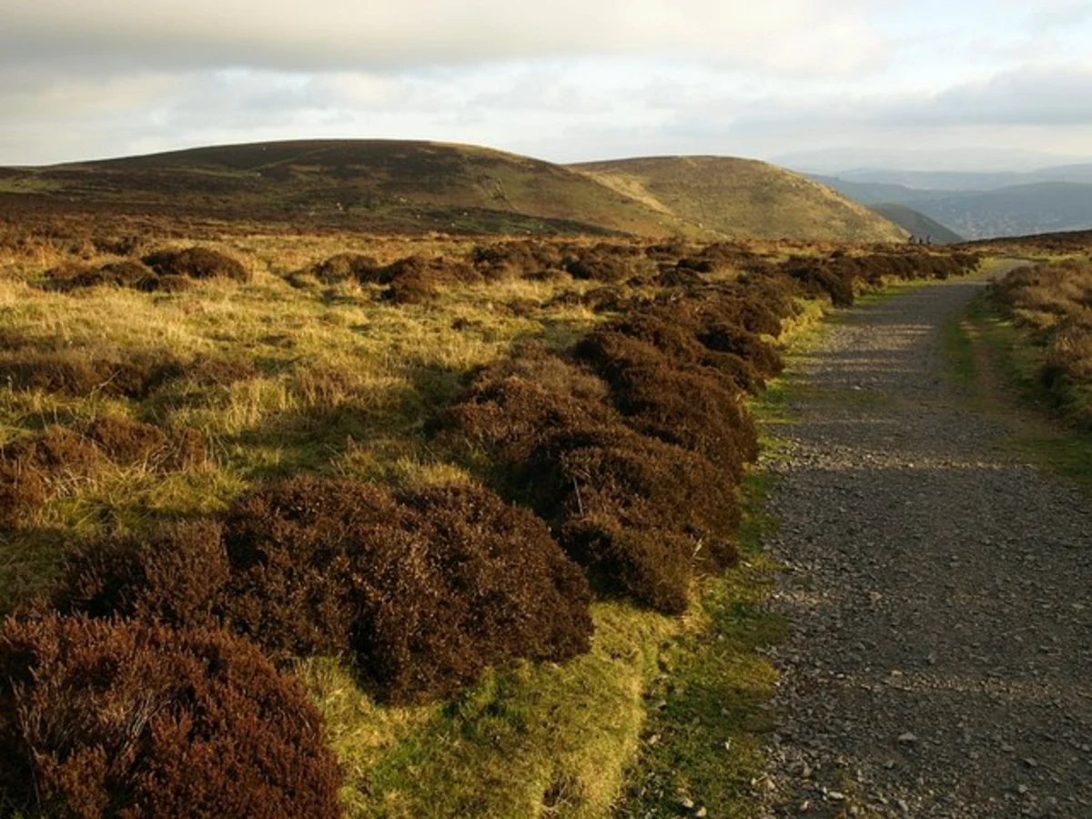 Nover's Hill and Jack Mytton Way