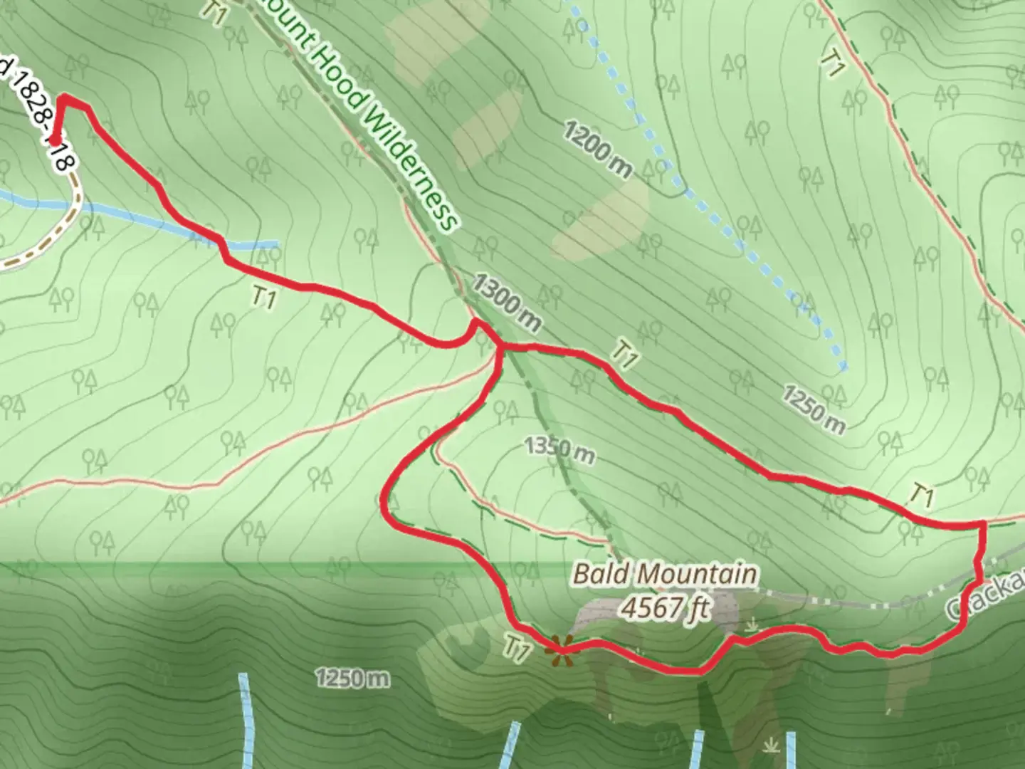An image depicting the trail Bald Mountain Loop and its surrounding area.