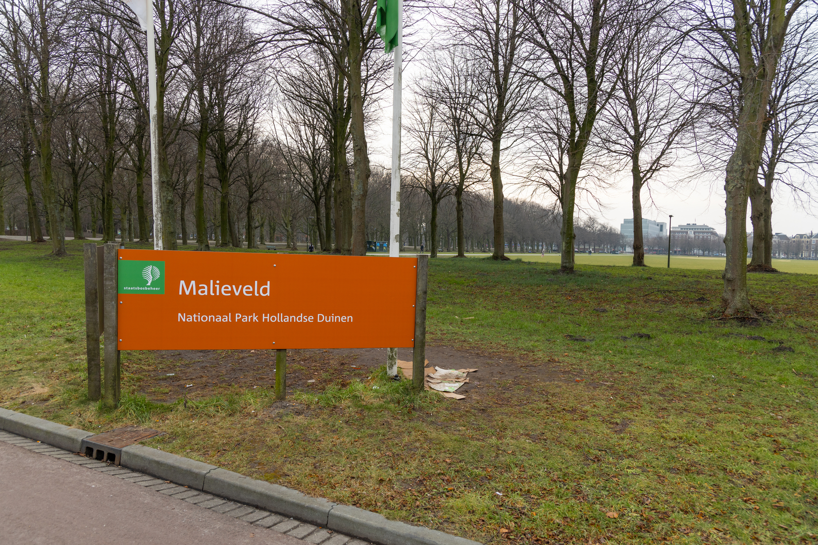 An image depicting the trail Bosje van Repelaer, Hofvijver and Palace Gardens via Monumentale Bomen - en hofjes Route and its surrounding area.