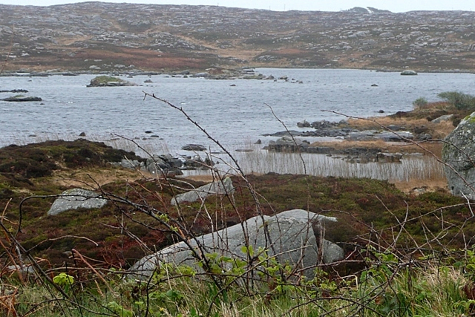 An image depicting the trail Luibin Garumna - Slí Chonamara and its surrounding area.