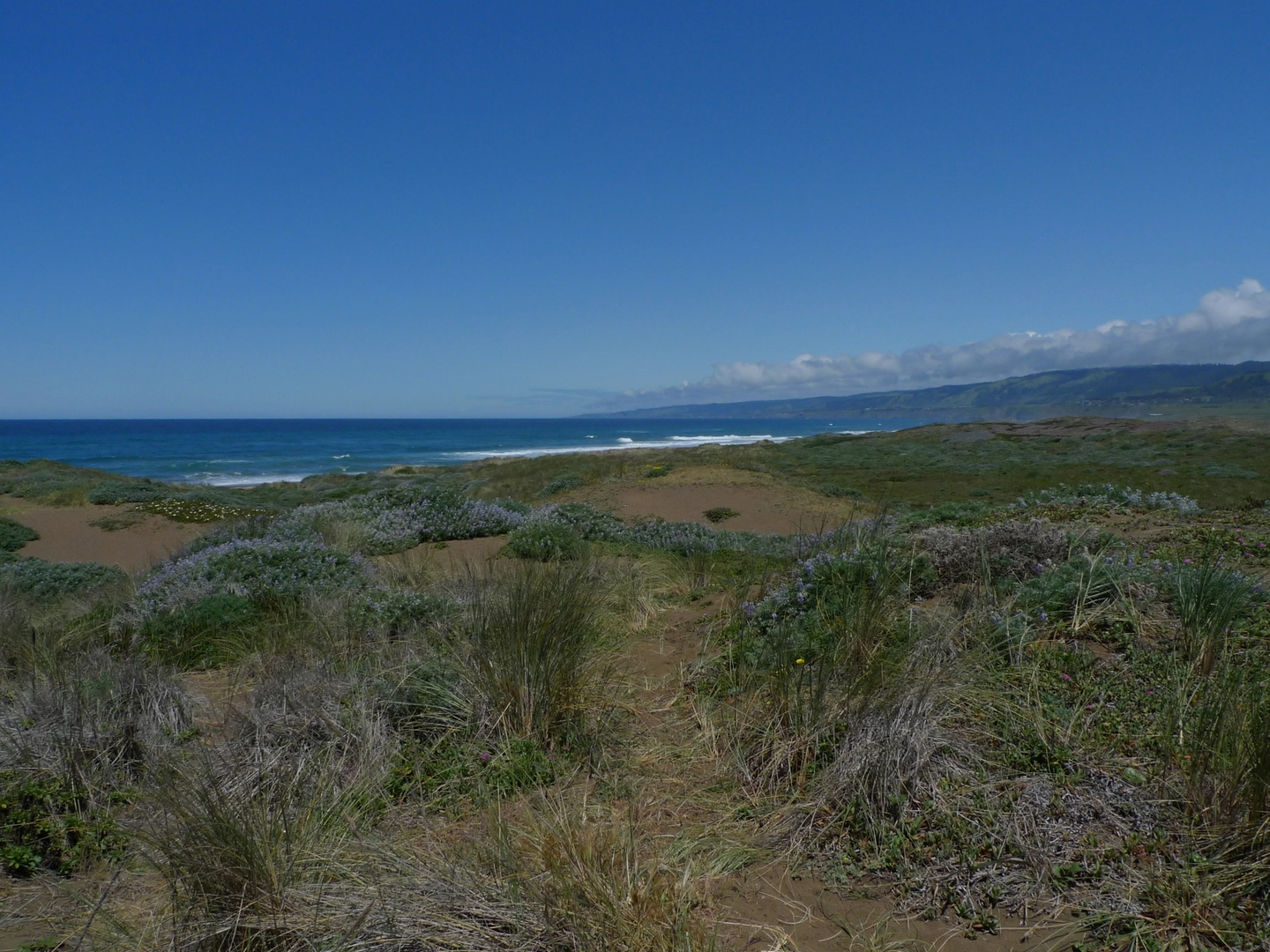 An image depicting the trail Davis Wetlands Trail and its surrounding area.