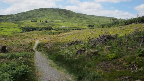 An image depicting the trail Viewpoint Trail - Drumkeeragh Forest and its surrounding area.