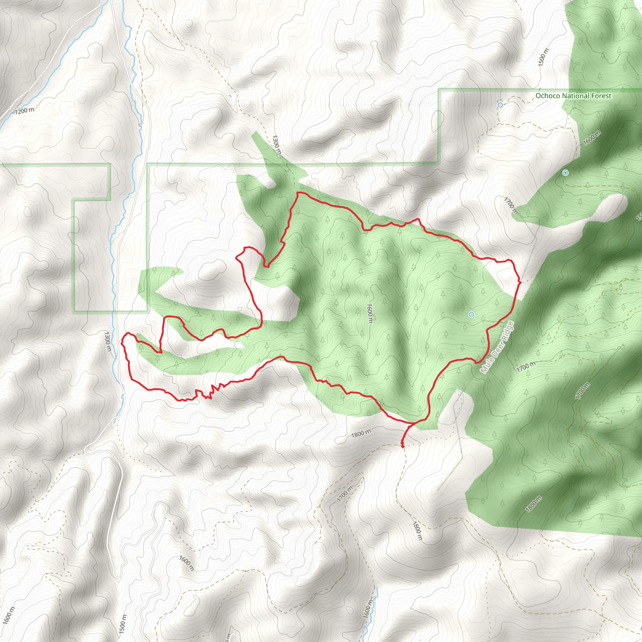 Hammer Creek Loop Trail mobile static map
