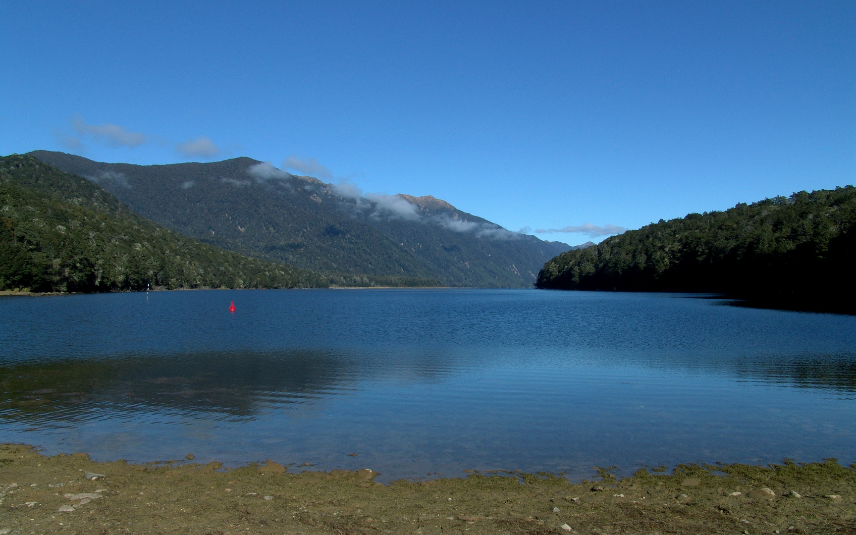 An image depicting the trail Lake Monowai Peninsula Lookout Track and its surrounding area.