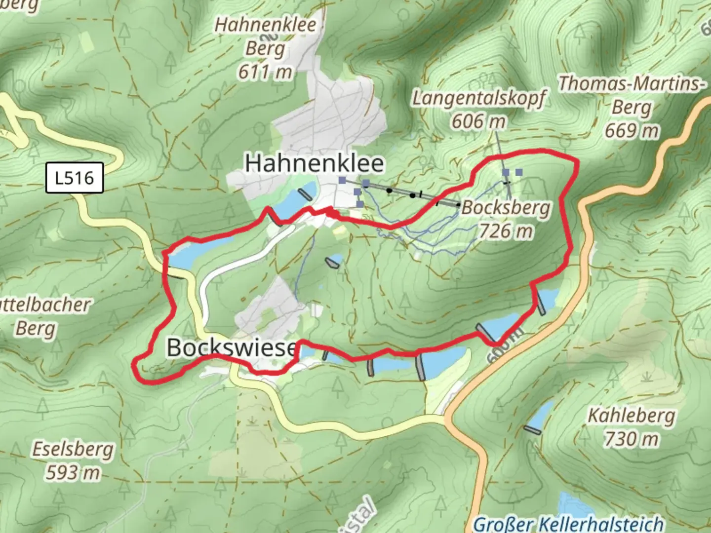 An image depicting the trail Oberer Grumbacher Teich, Neuer Grumbacher Teich, Großer Kranicher Teich Loop via Liebesbankweg and its surrounding area.