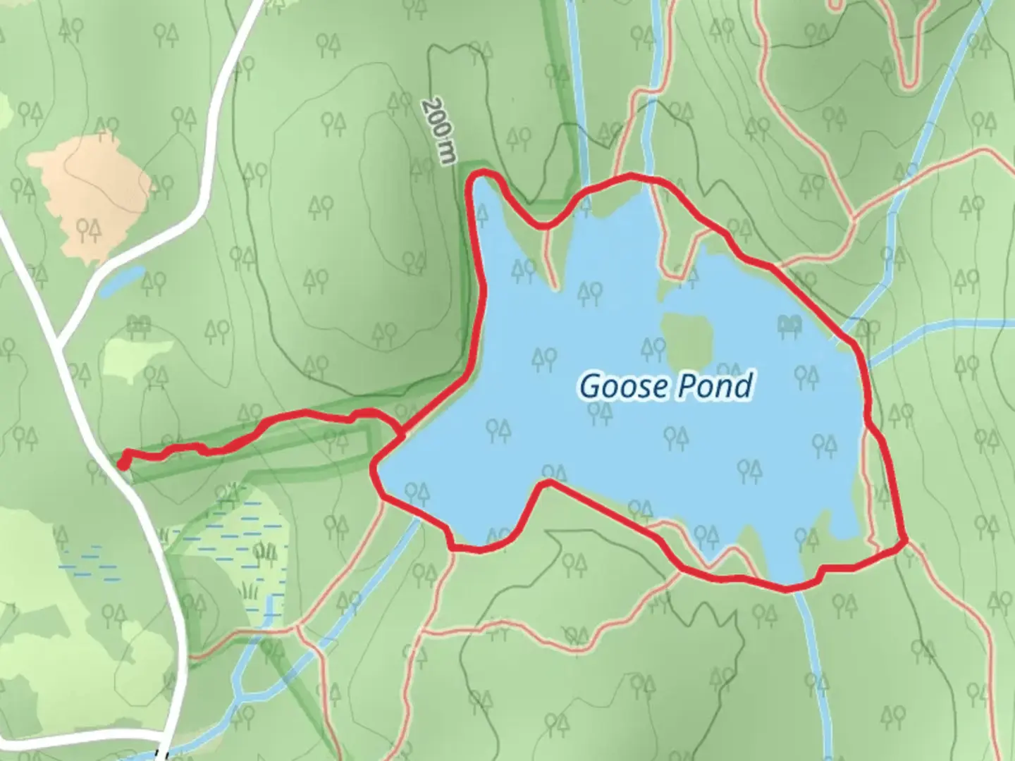 An image depicting the trail Goose Pond from East Surry Road and its surrounding area.