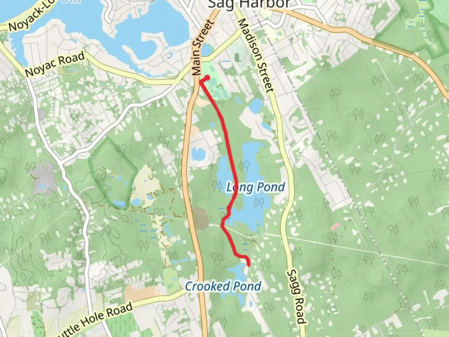 An image depicting the trail Sprig Tree Path and its surrounding area.