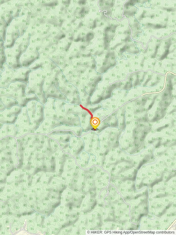 Borden Creek Wild Hiking and Sipsey Wild Hiking Trail