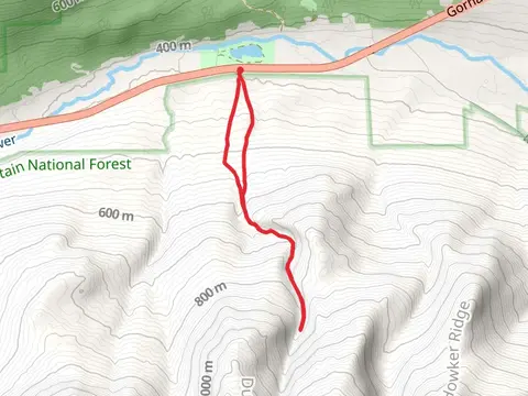 Snyder Brook via Valley Way and Airline Trail