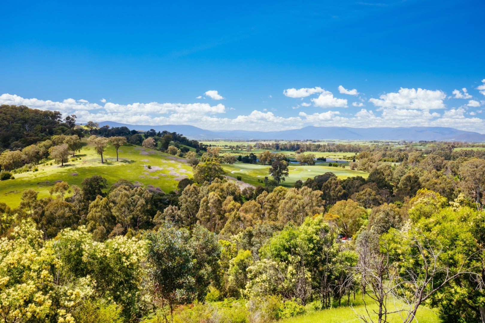 An image depicting the trail Yarra River Heritage Walk and its surrounding area.