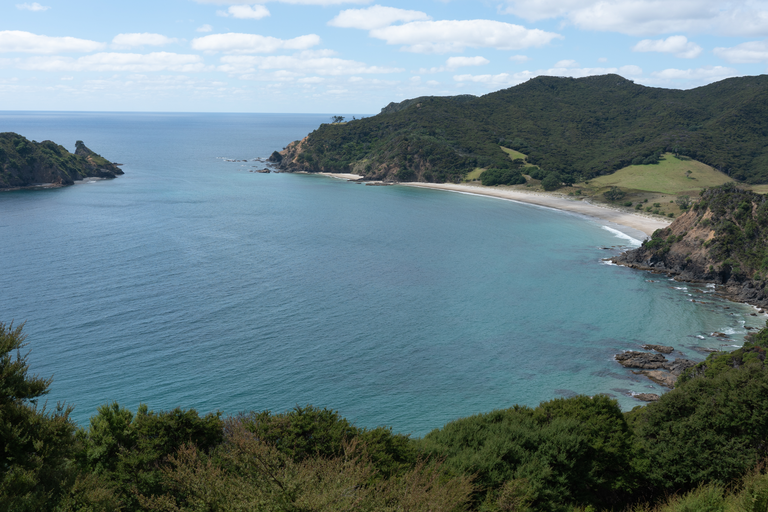 An image depicting the trail Harataonga Coastal Walkway and its surrounding area.