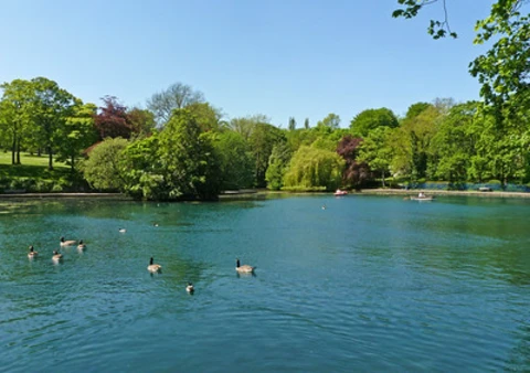 An image depicting the trail Lister Park and Mughal Water Gardens Loop and its surrounding area.