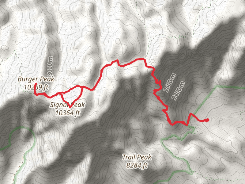 Signal Peak and Burger Peak via Summit Trail