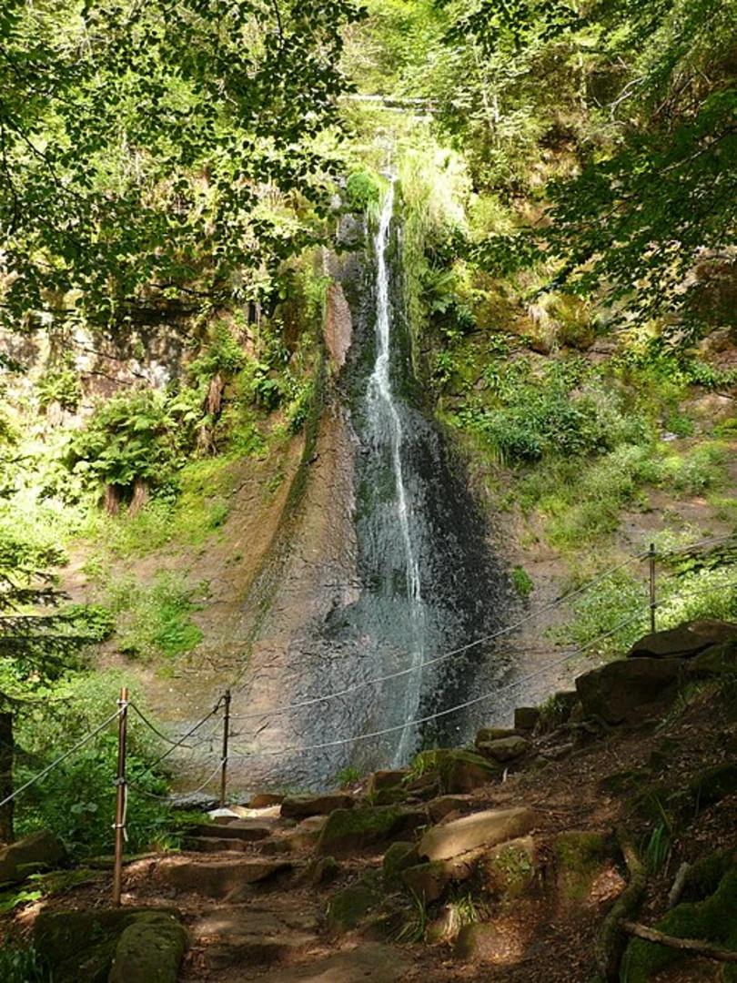 An image depicting the trail Sankenbachsee, Sankenbach Wasserfalls and Stockerkopf Loop and its surrounding area.