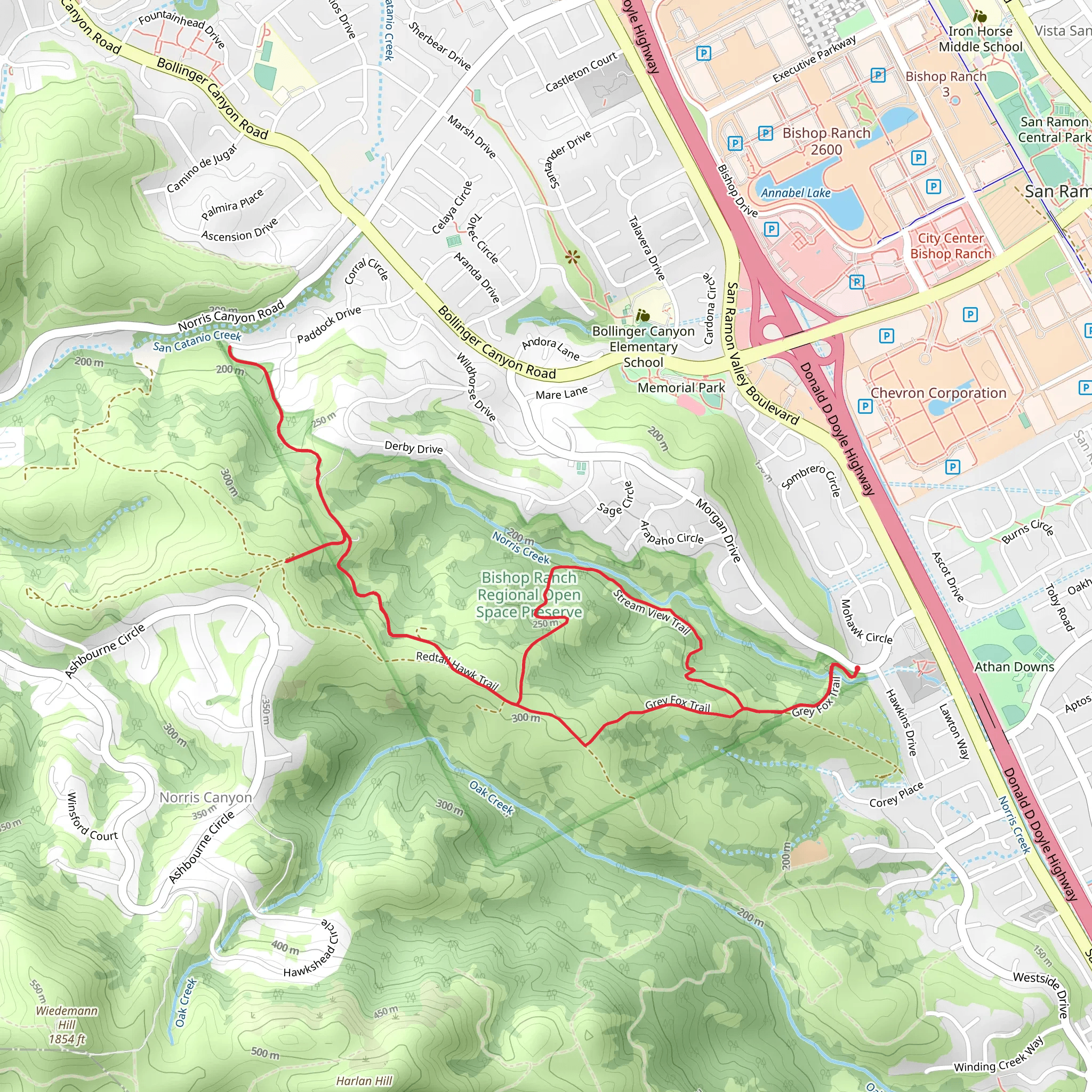 Grey Fox and Redtail Hawk Loop Trail mobile static map