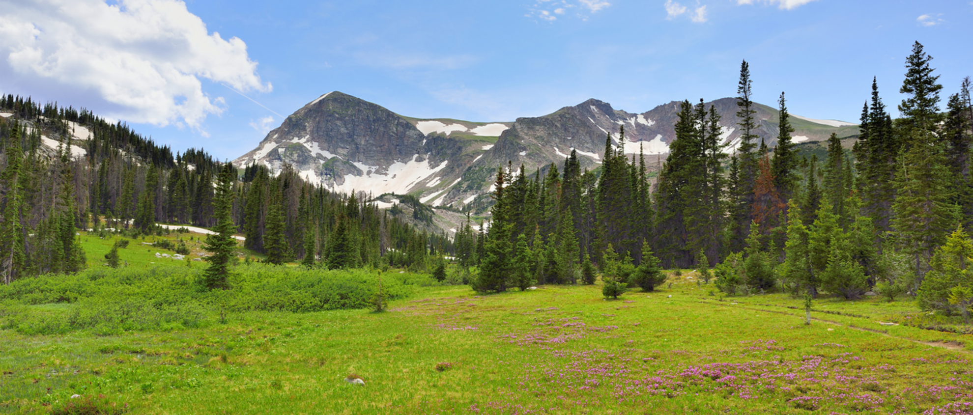 An image depicting the trail McIntyre Creek Via McIntyre Trail and its surrounding area.