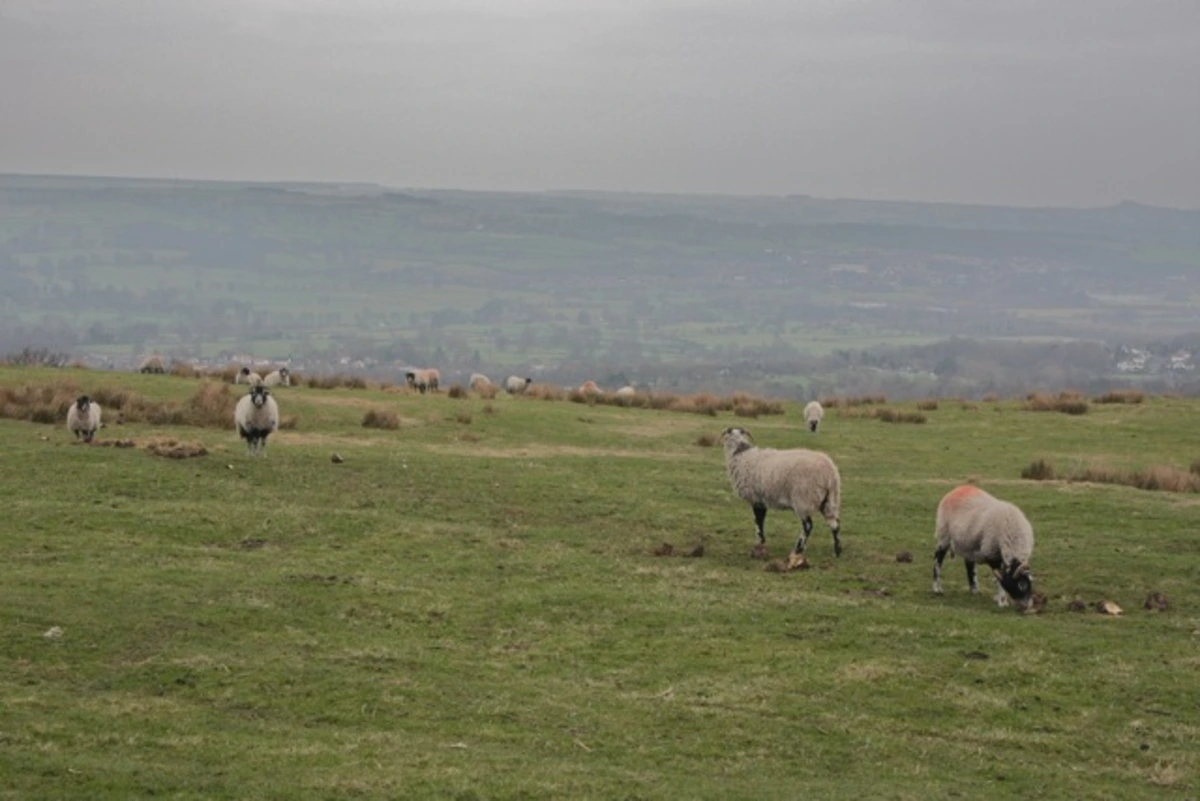 Burley Woodhead Loop
