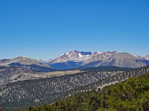An image depicting the trail Mulkey Meadow - Templeton Meadow via Trail Pass Trail and its surrounding area.