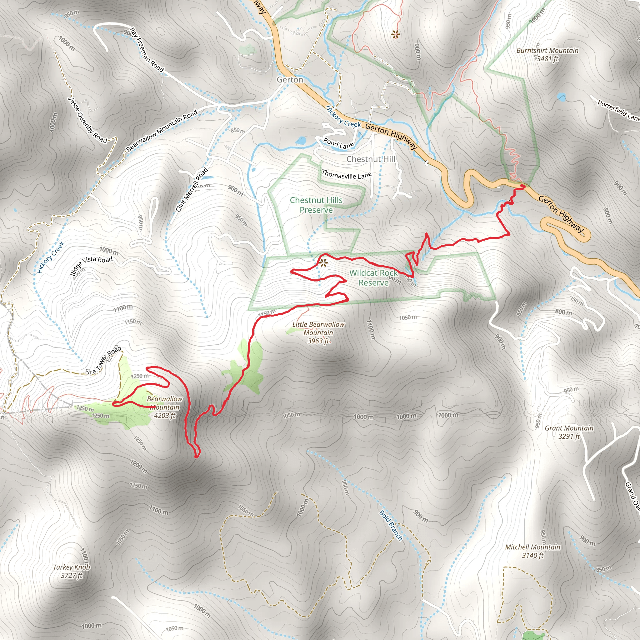 Wildcat Rock Trail to Bearwallow Mountain mobile static map