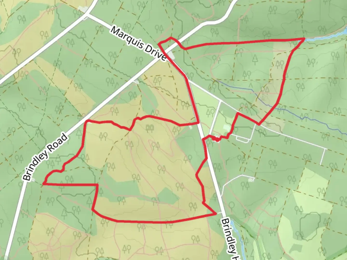 An image depicting the trail Cannock Chase Short Loop and its surrounding area.
