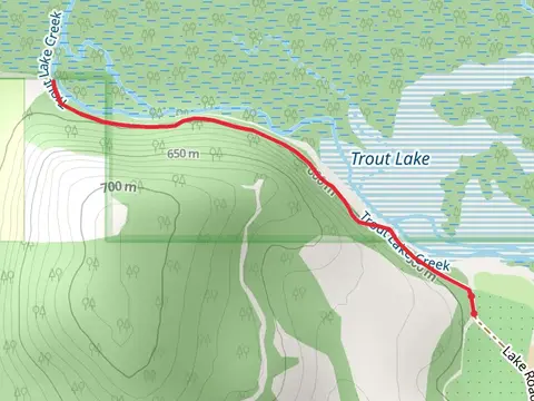 Trout Lake Creek Walk