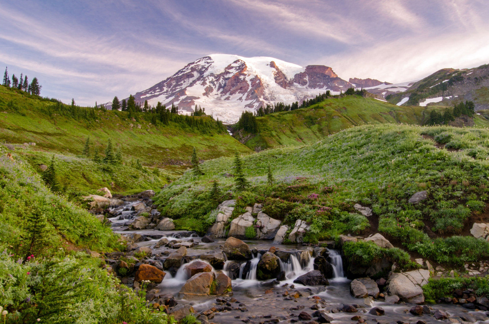 An image depicting the trail Myrtle Falls Viewpoint via Skyline Trail and its surrounding area.