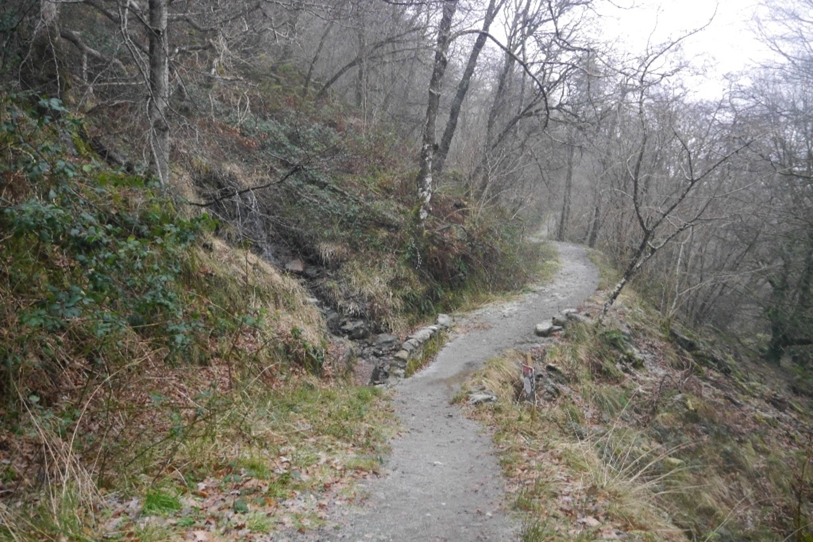An image depicting the trail Allt Robuic Gorge Waterfalls Loop Trail and its surrounding area.