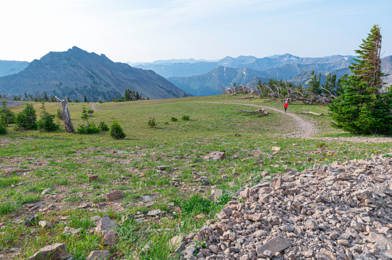 An image depicting the trail Avalanche Peak Trail and its surrounding area.