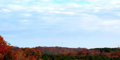 An image depicting the trail Shawnee Backpack Trail and its surrounding area.