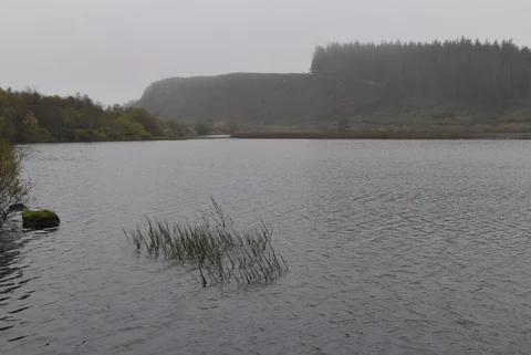 An image depicting the trail Belcoo to Belleek Including Lougah Navar Forest and its surrounding area.