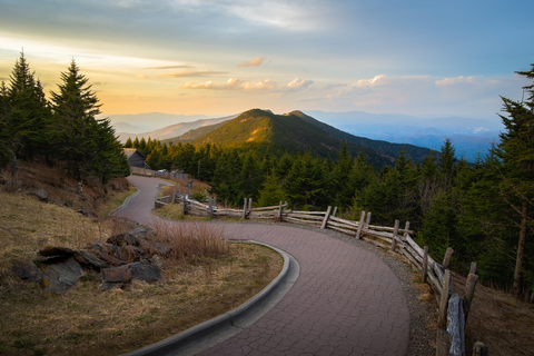 An image depicting the trail Mount Mitchell Trail and its surrounding area.