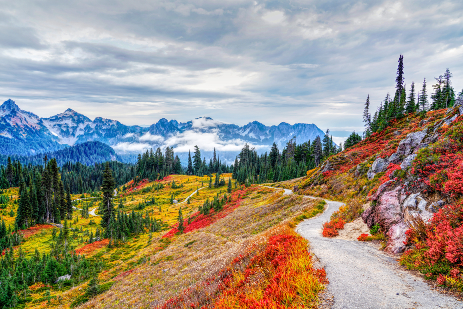 An image depicting the trail Glacier Basin Trail and its surrounding area.