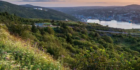 An image depicting the trail Newfoundland T'railway Trail and its surrounding area.